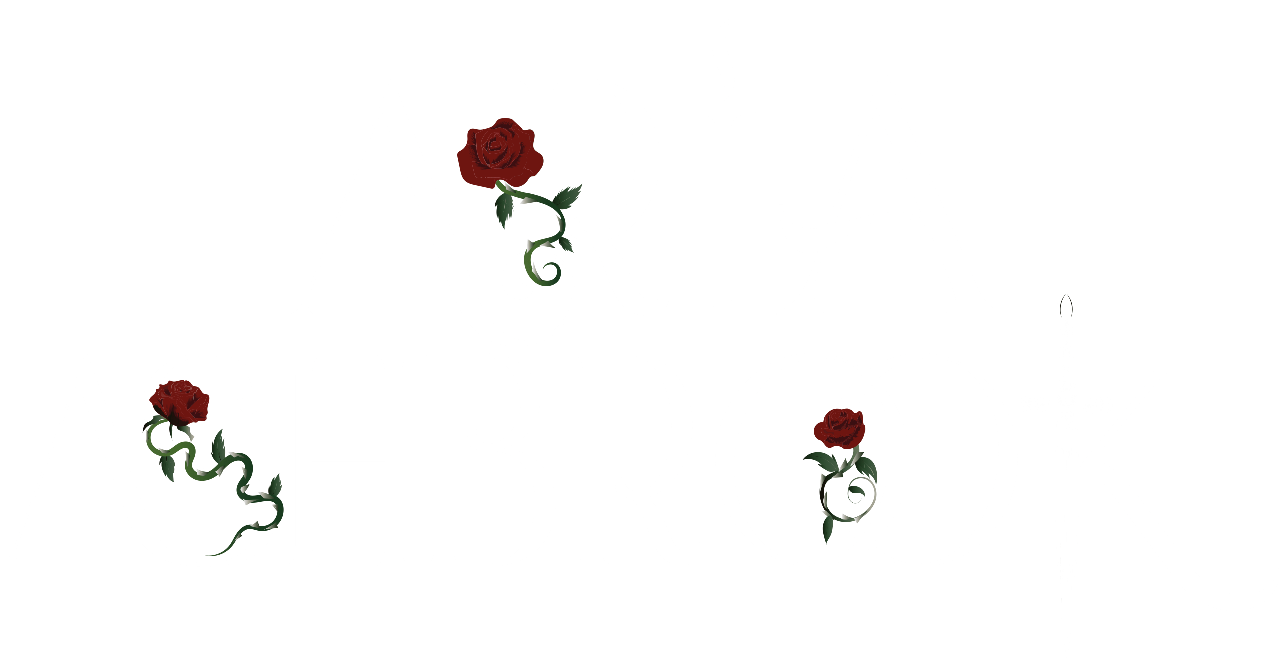 ariaashbrooklogofordarkbackgrounds